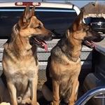 Todd Moss - @toddmoss2271 - Instagram