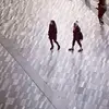 toddmoss695 - @toddmoss695 - TikTok