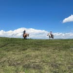 Todd Munro - @toddtasticc - Instagram