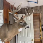 Todd Murphy - Facebook