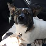 Todd Murphy - @murphy_todd - Instagram