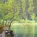 Todd Murrell - Facebook