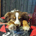 Todd Naffziger - @toddn49 - Instagram