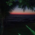 Todd Napier - @jonastoddderek - Instagram