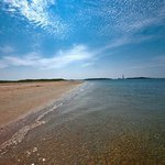 Todd Napier - @toddnapierz - Instagram