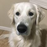 Todd Nash - @toddnashtx - Instagram