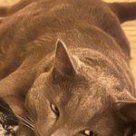 Smoky Navarre - @toddnavarre - Instagram