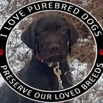 Todd Nettleton - Facebook