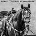 Todd Newberg - Facebook