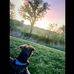Todd Nierman - Facebook