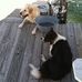 Todd Nye - Facebook
