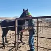 Todd O - @toddobrien66 - TikTok