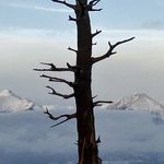 Todd O'Brien - @deepwestmedia - Instagram