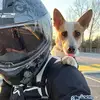 Todd O’Brien - @toddleeobrien - TikTok