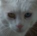 Todd Orange - Facebook