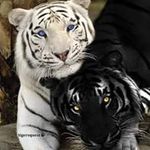 Todd C. Orr - @torr53 - Instagram