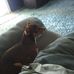Todd Osterhout - Facebook