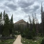 Todd Owen - @toddtannertanner - Instagram