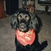 Todd Pahl - Facebook