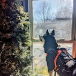 Todd Paquin - @tpaquin55 - Instagram