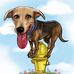 Todd Parent - Facebook