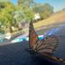 Todd Parkinson - Facebook