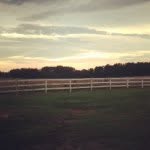 Todd - @todd_parramore - Instagram