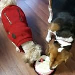 Todd J Parsons - @hoover455 - Instagram