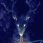 Todd Parsons - @digitalshaman007 - Instagram