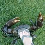 Todd Parsons - @toddparsons41 - Instagram