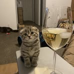 Todd Parsons - Facebook