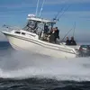 Todd Parsons - @todd.parsons - TikTok