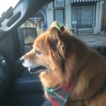 Todd Parsons - @toddmp84 - Instagram