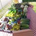 Todd' veggie patch - Facebook