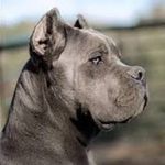 Todd Patrick - @toddp5651 - Instagram