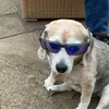 Todd Patrick - @sexyturtleking - TikTok