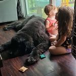 Todd Patrick Nellermoe - @toddnellermoe - Instagram