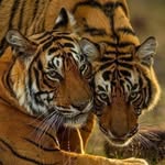 Todd Pickering - @toddp.ickering2 - Instagram