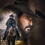 toddpickering - @toddpickering2025 - Instagram