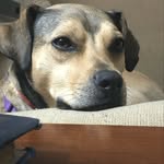 Todd Piontek - @toddpiontek - Instagram