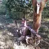 Todd Pitt - @toddpitt38 - TikTok