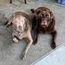 Todd Place - Facebook