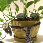 Plant Todd - @plant_todd - Instagram