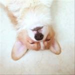 Mathilde Fullington - @lyposeytoddler - Instagram