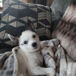Todd Powers - @toddpowers511 - Instagram