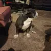 toddpowers821 - @toddpowers821 - TikTok