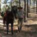 Todd Preece - Facebook