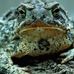 Todd Puckett - Facebook