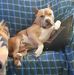 Todd Quimby - Facebook