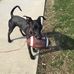Todd Quinn - Facebook
